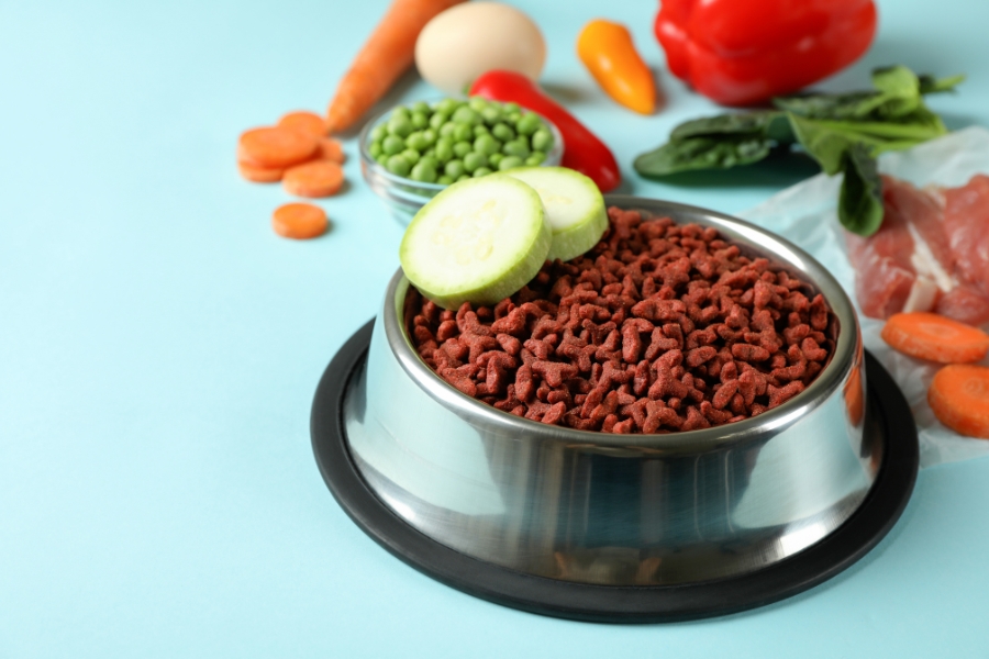 healthiest-food-for-senior-dog